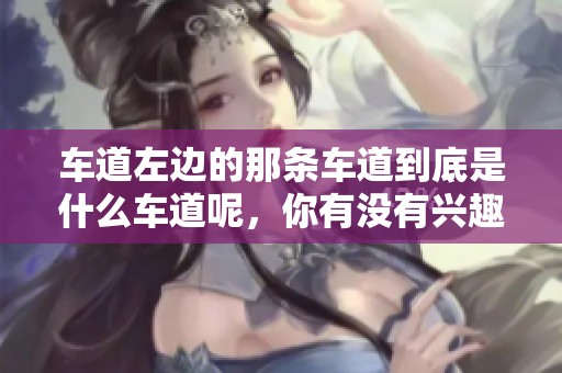 车道左边的那条车道到底是什么车道呢，你有没有兴趣了解一下呢