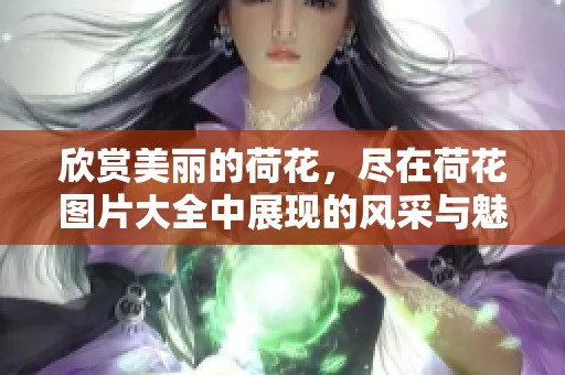 欣赏美丽的荷花，尽在荷花图片大全中展现的风采与魅力