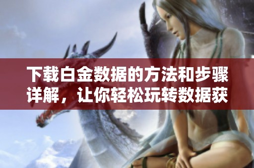 下载白金数据的方法和步骤详解，让你轻松玩转数据获取技巧
