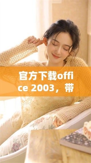 官方下载office 2003，带你体验经典办公软件的魅力与便捷