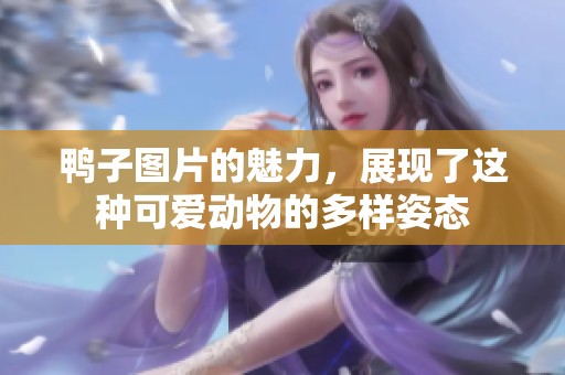 鸭子图片的魅力，展现了这种可爱动物的多样姿态