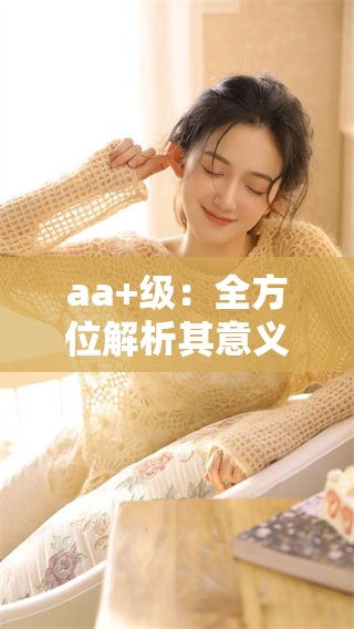 aa+级：全方位解析其意义与影响力深度探讨