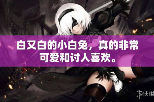 白又白的小白兔，真的非常可爱和讨人喜欢。
