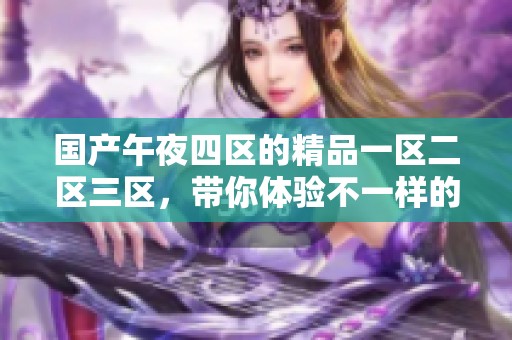 国产午夜四区的精品一区二区三区，带你体验不一样的夜晚乐趣与精彩
