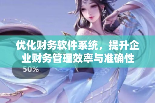 优化财务软件系统，提升企业财务管理效率与准确性