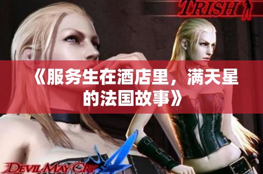 《服务生在酒店里，满天星的法国故事》