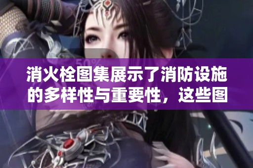 消火栓图集展示了消防设施的多样性与重要性，这些图集为使用提供了参考资料