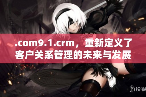 .com9.1.crm，重新定义了客户关系管理的未来与发展方向