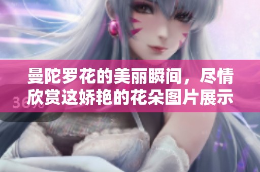 曼陀罗花的美丽瞬间，尽情欣赏这娇艳的花朵图片展示