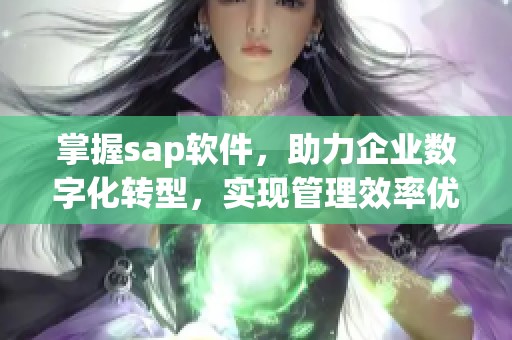 掌握sap软件，助力企业数字化转型，实现管理效率优化