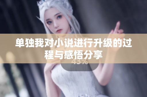 单独我对小说进行升级的过程与感悟分享