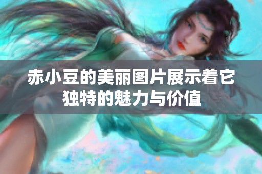 赤小豆的美丽图片展示着它独特的魅力与价值