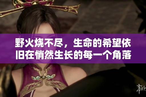 野火烧不尽，生命的希望依旧在悄然生长的每一个角落