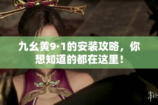 九幺黄9·1的安装攻略，你想知道的都在这里！