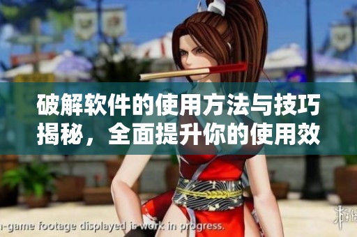 破解软件的使用方法与技巧揭秘，全面提升你的使用效率和安全性