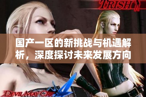 国产一区的新挑战与机遇解析，深度探讨未来发展方向与策略