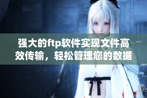 强大的ftp软件实现文件高效传输，轻松管理您的数据存储需求