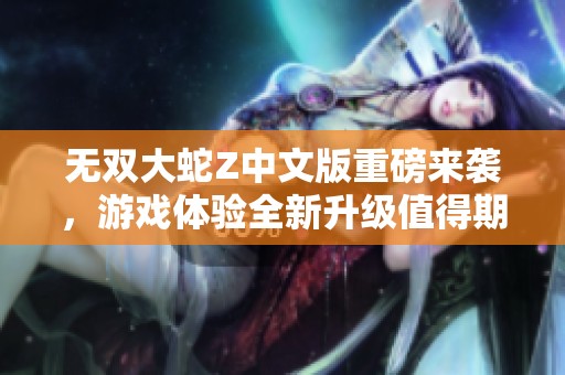 无双大蛇Z中文版重磅来袭，游戏体验全新升级值得期待