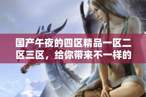 国产午夜的四区精品一区二区三区，给你带来不一样的精彩体验与感受