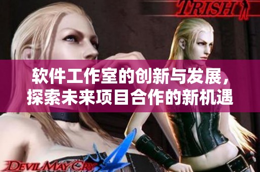 软件工作室的创新与发展，探索未来项目合作的新机遇。