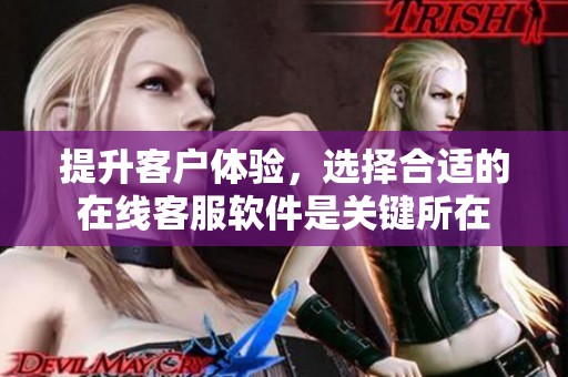 提升客户体验，选择合适的在线客服软件是关键所在