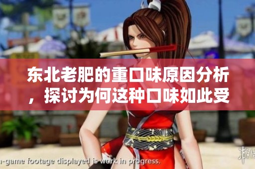 东北老肥的重口味原因分析，探讨为何这种口味如此受欢迎