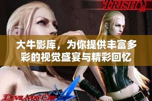 大牛影库，为你提供丰富多彩的视觉盛宴与精彩回忆