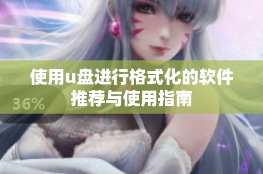 使用u盘进行格式化的软件推荐与使用指南
