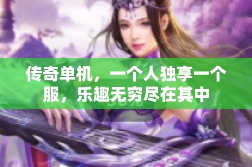 传奇单机，一个人独享一个服，乐趣无穷尽在其中