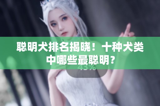 聪明犬排名揭晓！十种犬类中哪些最聪明？