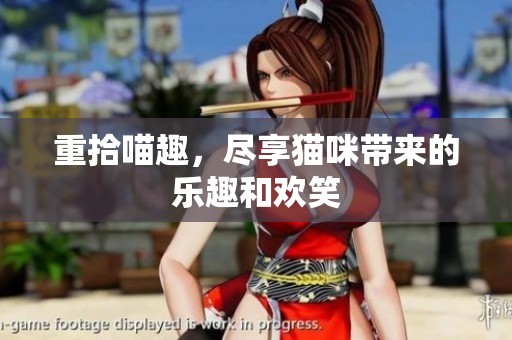 重拾喵趣，尽享猫咪带来的乐趣和欢笑