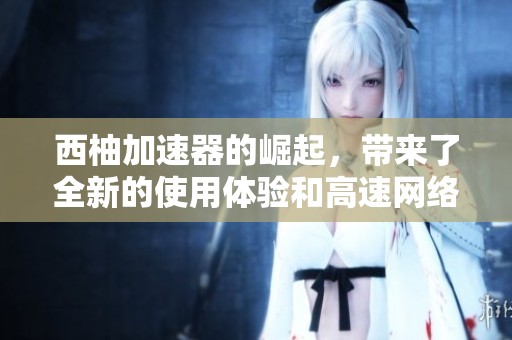 西柚加速器的崛起，带来了全新的使用体验和高速网络连接