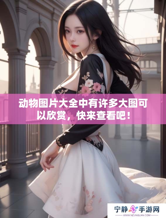 动物图片大全中有许多大图可以欣赏，快来查看吧！
