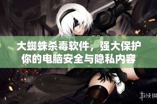 大蜘蛛杀毒软件，强大保护你的电脑安全与隐私内容