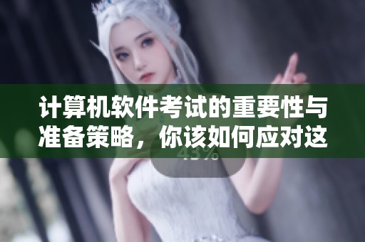 计算机软件考试的重要性与准备策略，你该如何应对这一挑战呢