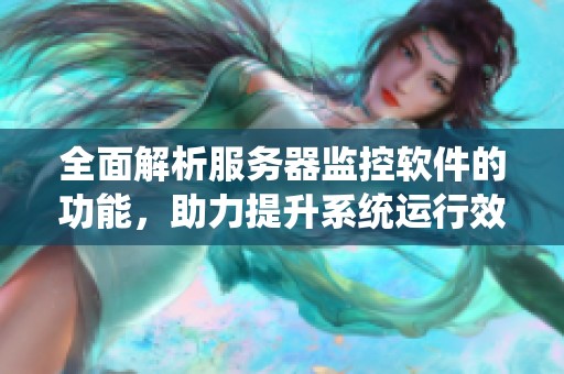 全面解析服务器监控软件的功能，助力提升系统运行效率与安全性
