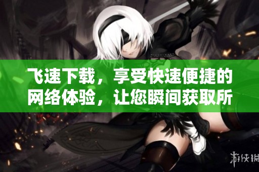 飞速下载，享受快速便捷的网络体验，让您瞬间获取所需资源