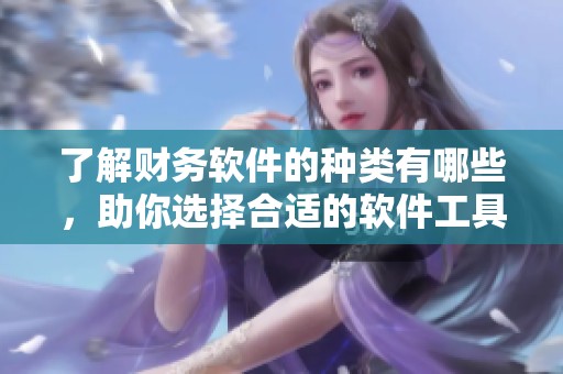 了解财务软件的种类有哪些，助你选择合适的软件工具