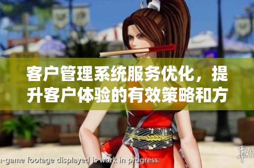 客户管理系统服务优化，提升客户体验的有效策略和方法