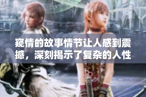 窥情的故事情节让人感到震撼，深刻揭示了复杂的人性和情感关系。