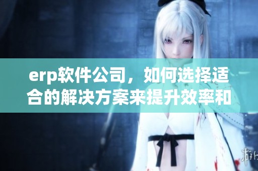 erp软件公司，如何选择适合的解决方案来提升效率和管理能力