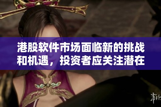港股软件市场面临新的挑战和机遇，投资者应关注潜在的风险与收益