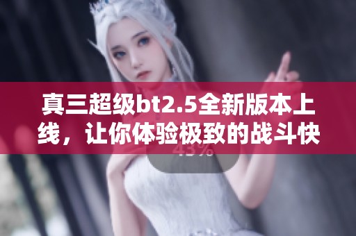 真三超级bt2.5全新版本上线，让你体验极致的战斗快感与策略乐趣！