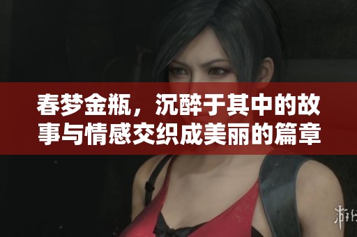 春梦金瓶，沉醉于其中的故事与情感交织成美丽的篇章