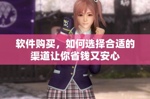 软件购买，如何选择合适的渠道让你省钱又安心
