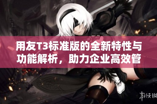 用友T3标准版的全新特性与功能解析，助力企业高效管理与发展