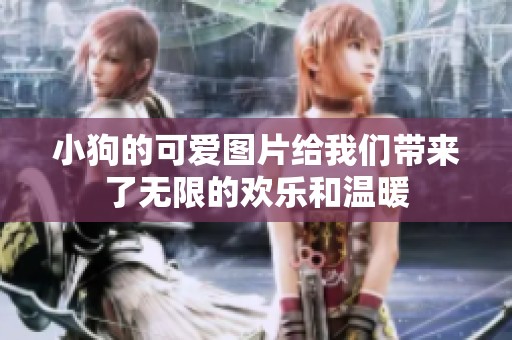 小狗的可爱图片给我们带来了无限的欢乐和温暖