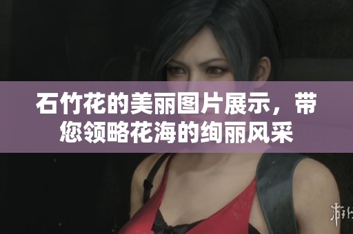 石竹花的美丽图片展示，带您领略花海的绚丽风采