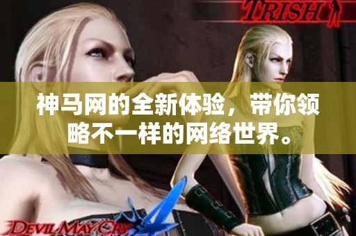 神马网的全新体验，带你领略不一样的网络世界。