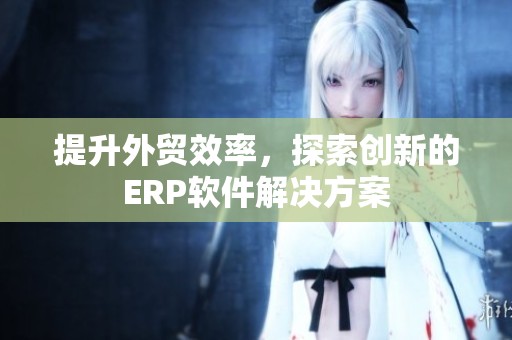 提升外贸效率，探索创新的ERP软件解决方案
